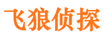 临淄外遇调查取证